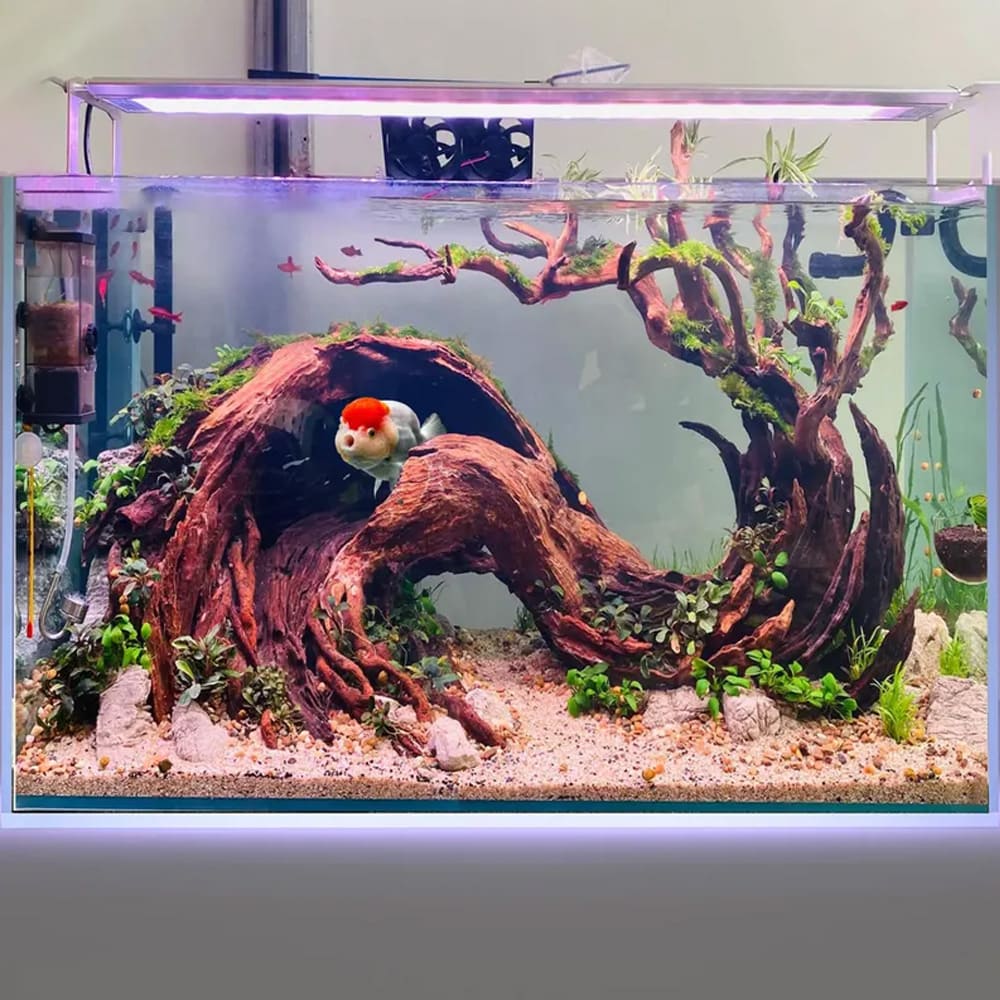 Bonsai driftwood aquarium aquascaping decor drift wood aquatic plants betta fish tank decorations