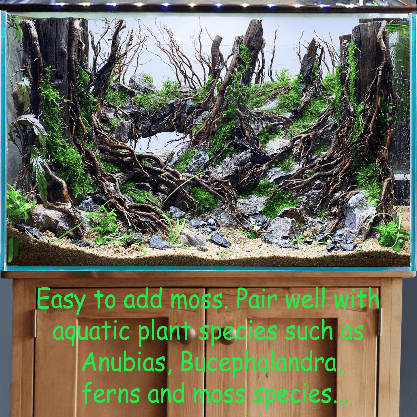 Driftwood tree aquarium rock aquascaping cave aquascape hardscape fish tank decoration