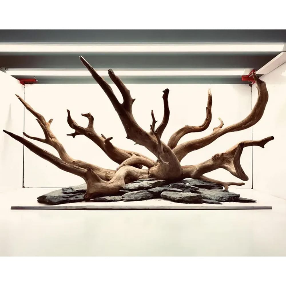 Driftwood bonsai aquarium plants aquariums accessories hardscape for betta fish tank decor
