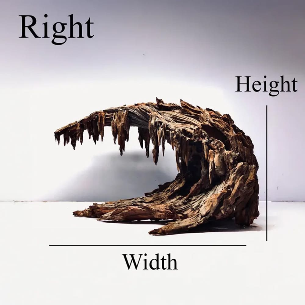 Aquarium cave aquascape driftwood aquascaping hardscape fish tank decor