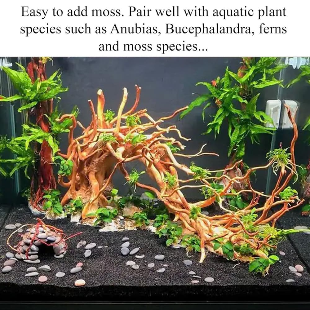 Manzanita driftwood aquarium plants aquascaping stone hardscape for betta fish tank decor