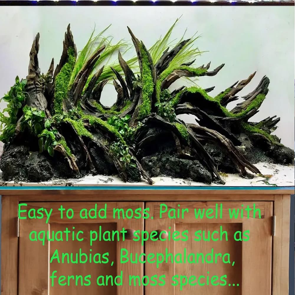 Aquarium driftwood rock cave aquascape bonsai aquascaping hardscape fish tank decor