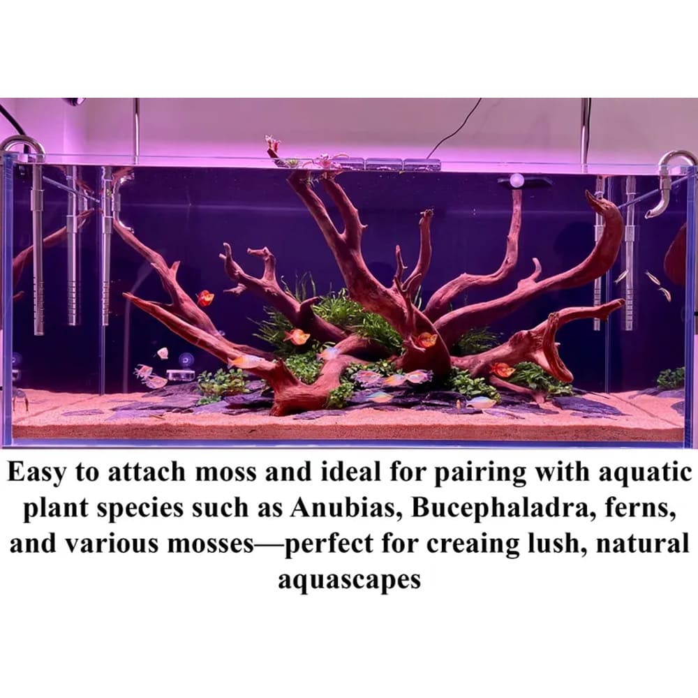 Driftwood bonsai aquarium plants aquariums accessories hardscape for betta fish tank decor