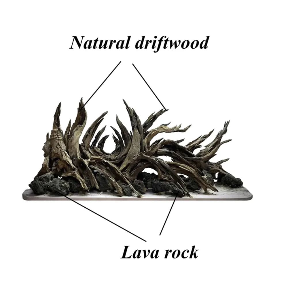 Aquarium driftwood rock cave aquascape bonsai aquascaping hardscape fish tank decor
