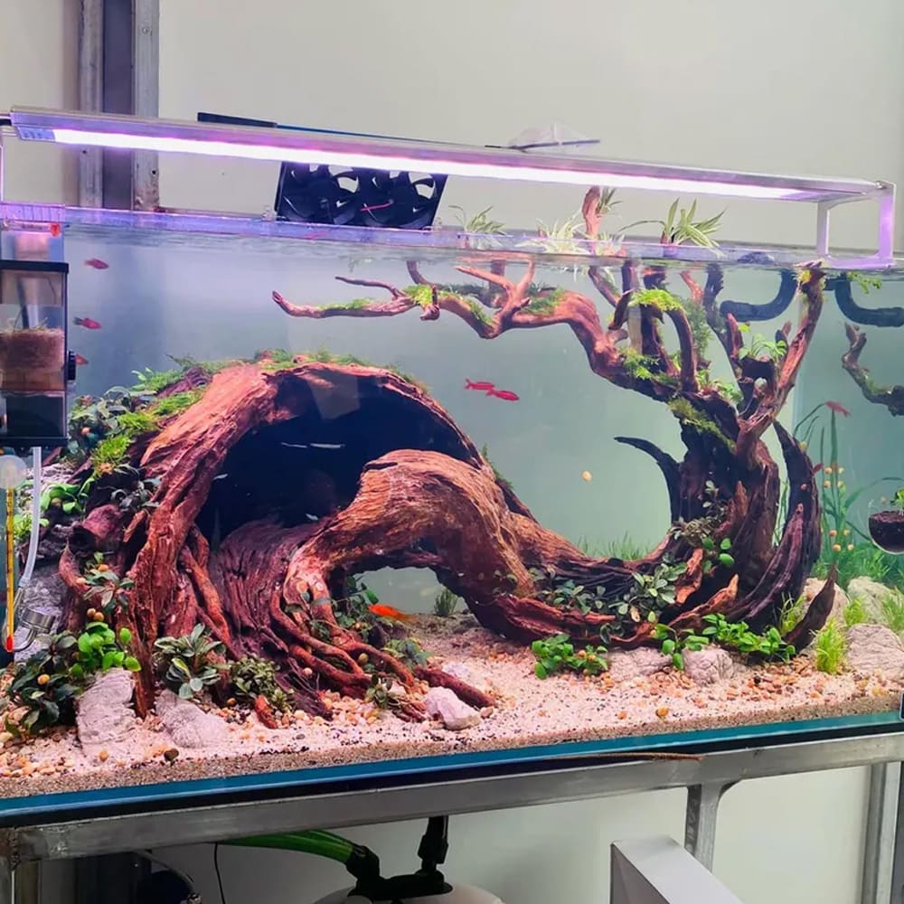 Bonsai driftwood aquarium aquascaping decor drift wood aquatic plants betta fish tank decorations