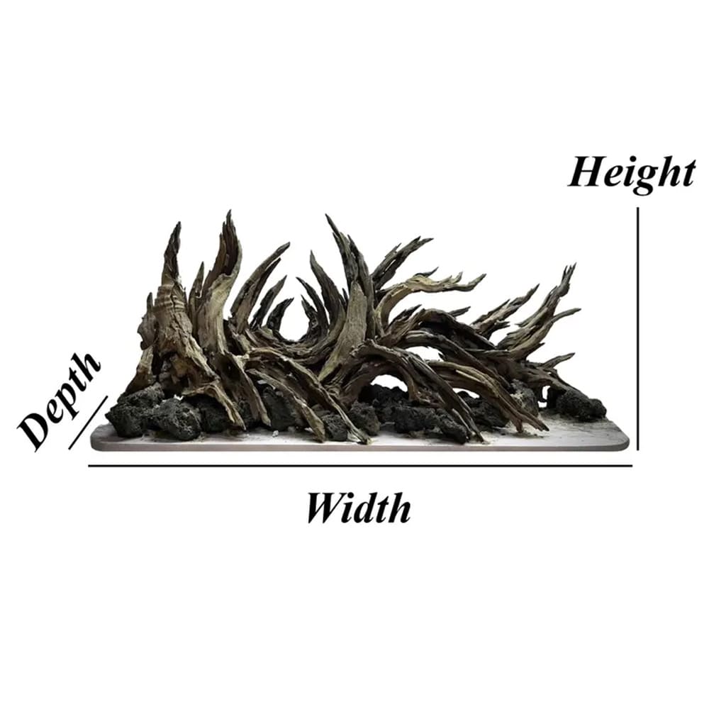 Aquarium driftwood rock cave aquascape bonsai aquascaping hardscape fish tank decor