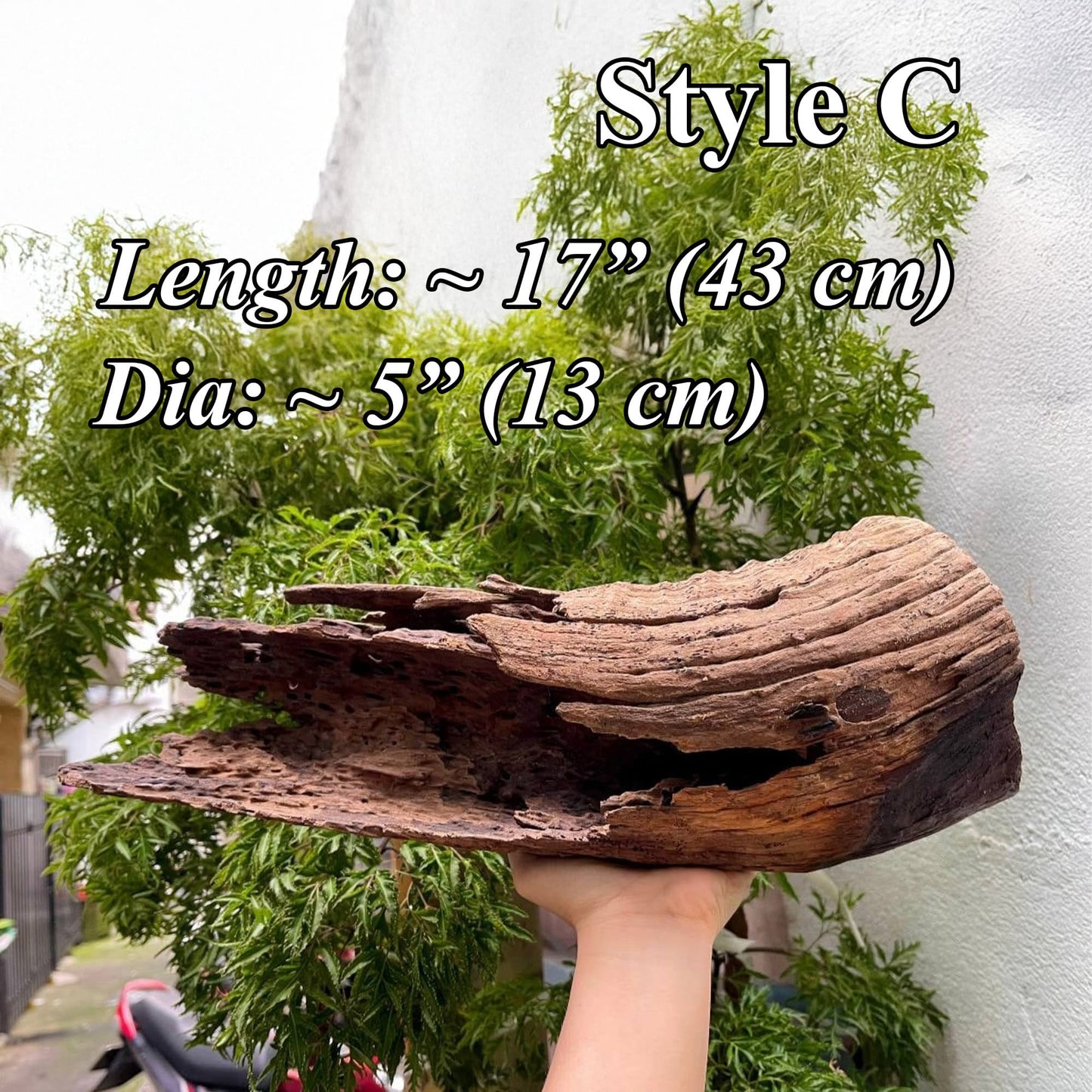 Aquarium driftwood log natural reptile drift wood stump bonsai aquascaping hardscape real wood for fish tank decor