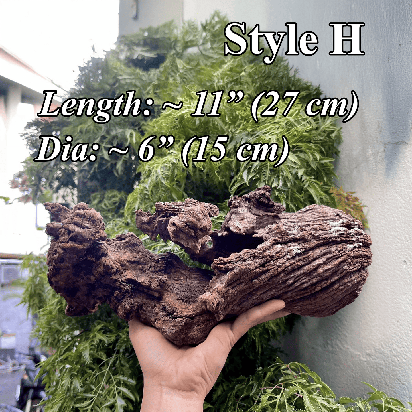 Aquarium driftwood log natural reptile drift wood stump bonsai aquascaping hardscape real wood for fish tank decor