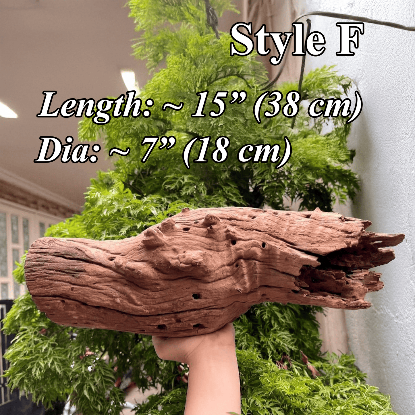 Aquarium driftwood log natural reptile drift wood stump bonsai aquascaping hardscape real wood for fish tank decor