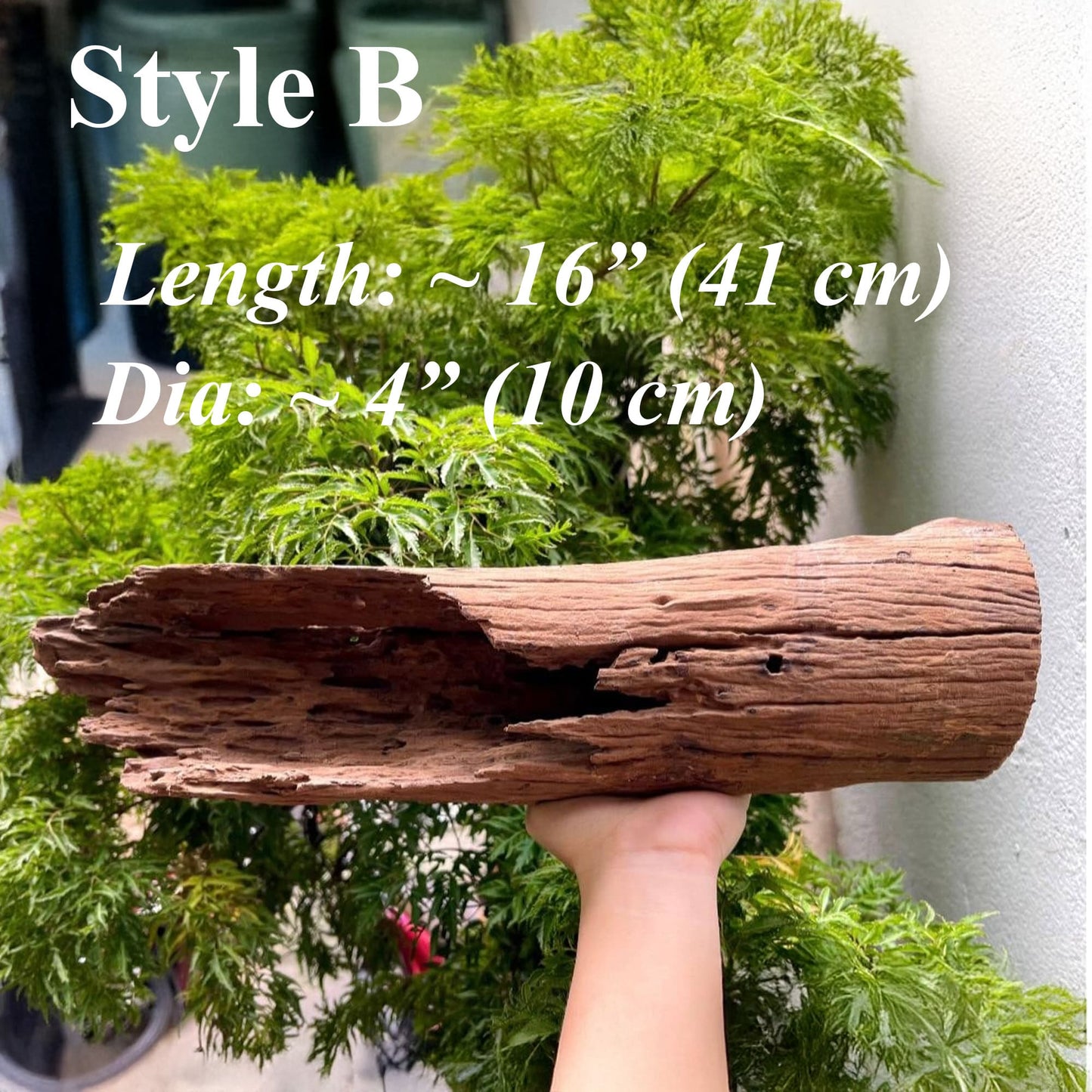 Aquarium driftwood log natural reptile drift wood stump bonsai aquascaping hardscape real wood for fish tank decor