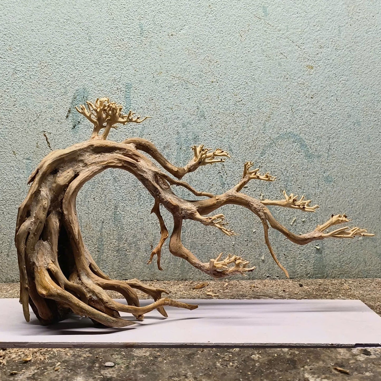 Manzanita driftwood aquarium plants planted aquariums hardscape for betta fish tank decor