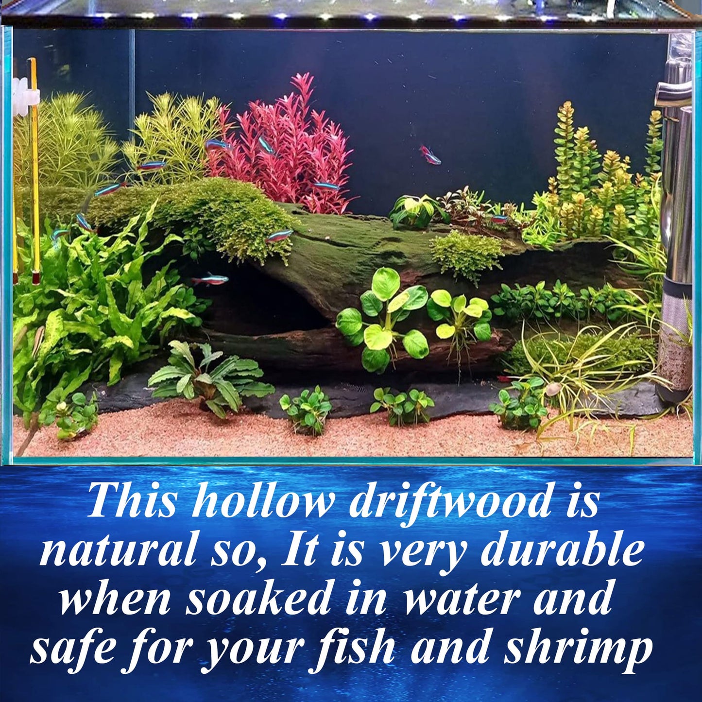 Aquarium driftwood log natural reptile drift wood stump bonsai aquascaping hardscape real wood for fish tank decor