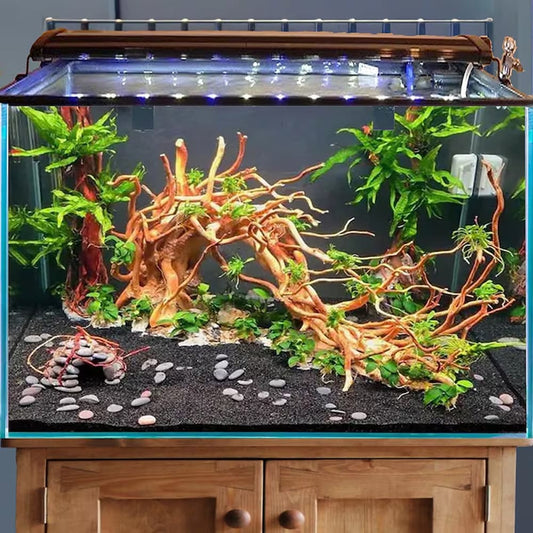 Manzanita driftwood aquarium plants aquascaping stone hardscape for betta fish tank decor