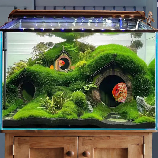Aquascape driftwood aquarium cave hardscape bonsai aquascaping stone fish tank background decoration