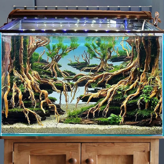 Aquarium hardscape aquascape driftwood bonsai aquascaping fish tank decor