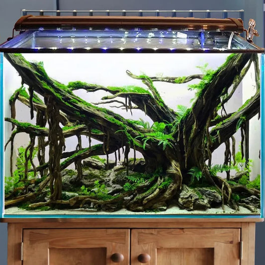 Driftwood aquascape aquarium cave hardscape aquascaping stone fish tank decor