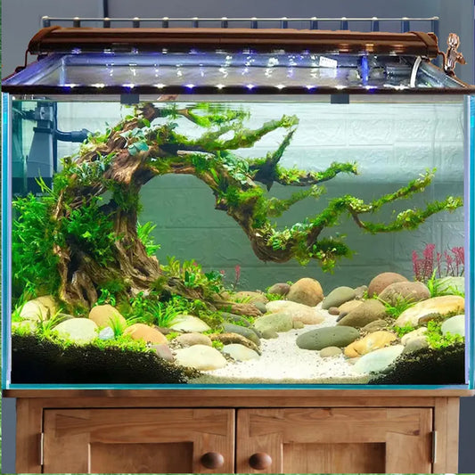 Manzanita driftwood aquarium plants planted aquariums hardscape for betta fish tank decor