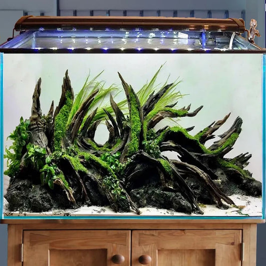 Aquarium driftwood rock cave aquascape bonsai aquascaping hardscape fish tank decor