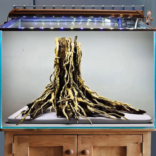 Freshwater driftwood aquarium decorations aquascape hardscape fish tank decor suggestions
