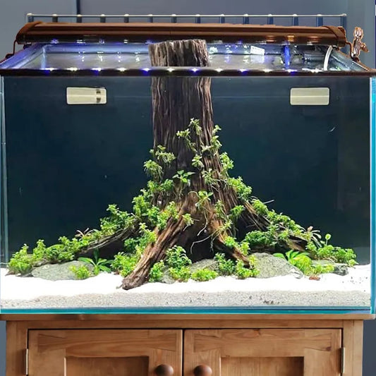 Aquarium driftwood stump tree aquascape bonsai wood hardscape plants for fish tank decorations