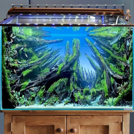 Driftwood large centerpiece aquarium aquascape hardscape rock cave aquascaping betta fish hideout