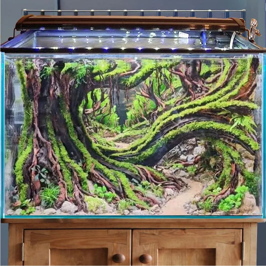 Aquascape aquarium driftwood bonsai hardscape plants wood aquascaping stone for fish tank decorations