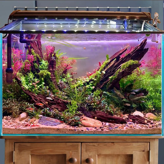 Aquarium driftwood piece aquascape wood hardscape bonsai aquascaping plants fish tank decorations
