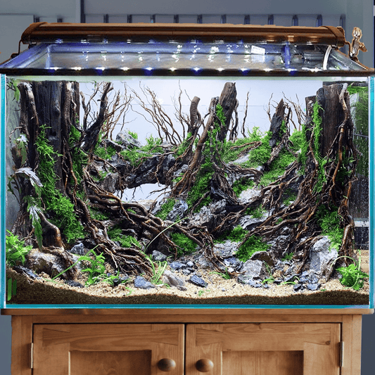 Driftwood tree aquarium rock aquascaping cave aquascape hardscape fish tank decoration