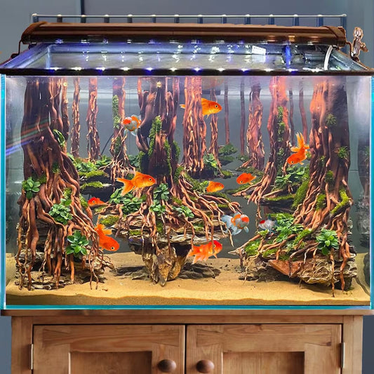 Aquascape driftwood aquarium dragon stone hardscape bonsai aquascaping rock fish tank plants