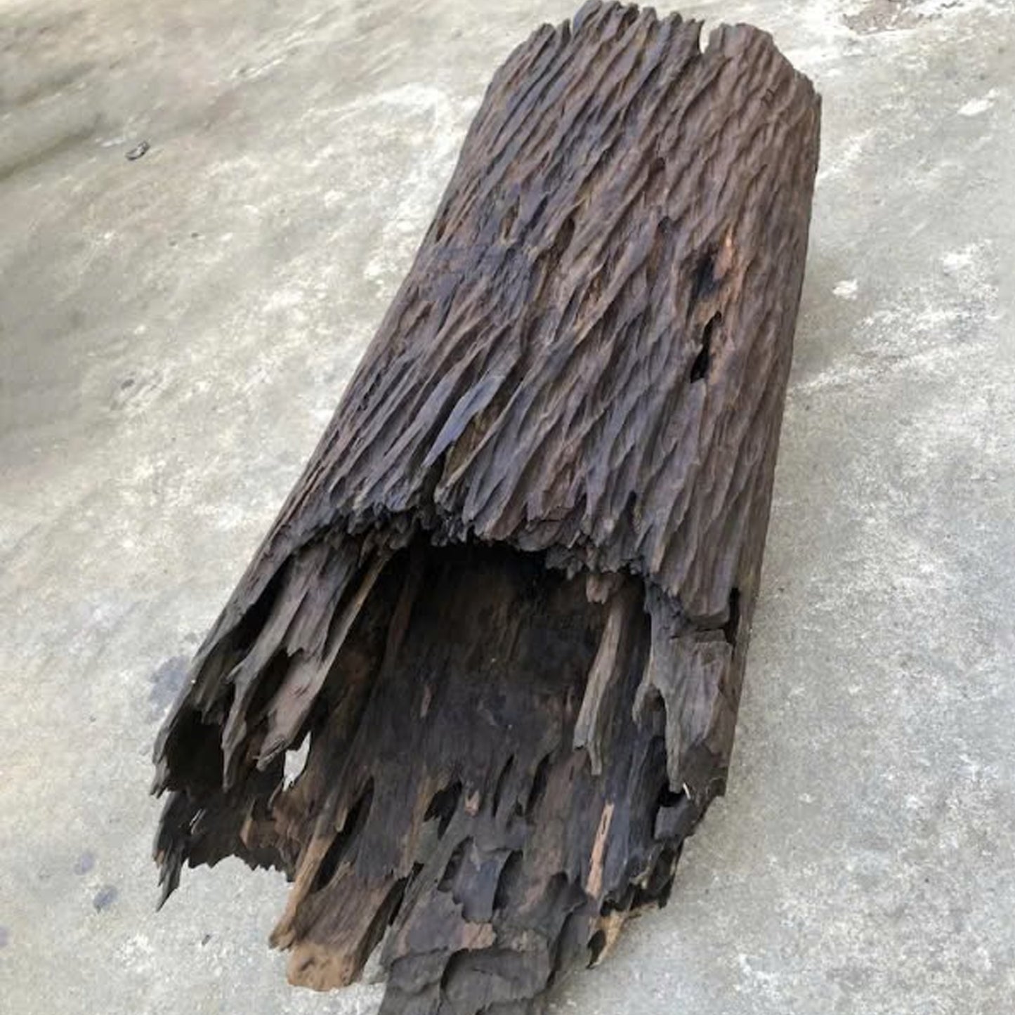 Large hollow driftwood log aquarium drift wood stump tree large aquarium hide fish tank decoration