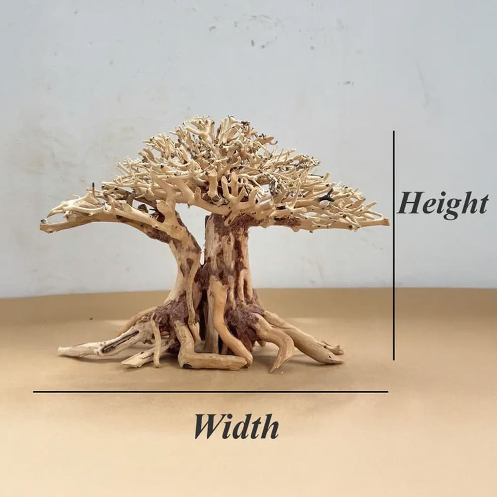 Bonsai driftwood aquarium decor aquascape wood hardscape plant fish tank decorations