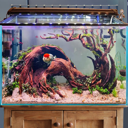 Bonsai driftwood aquarium aquascaping decor drift wood aquatic plants betta fish tank decorations