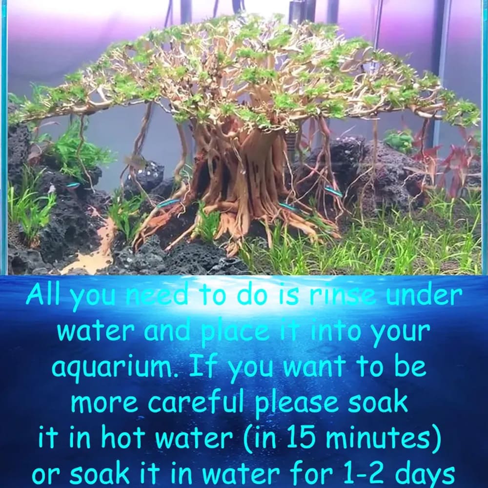Bonsai driftwood aquarium decor aquascape wood hardscape plant fish tank decorations