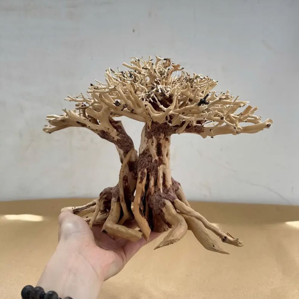 Bonsai driftwood aquarium decor aquascape wood hardscape plant fish tank decorations