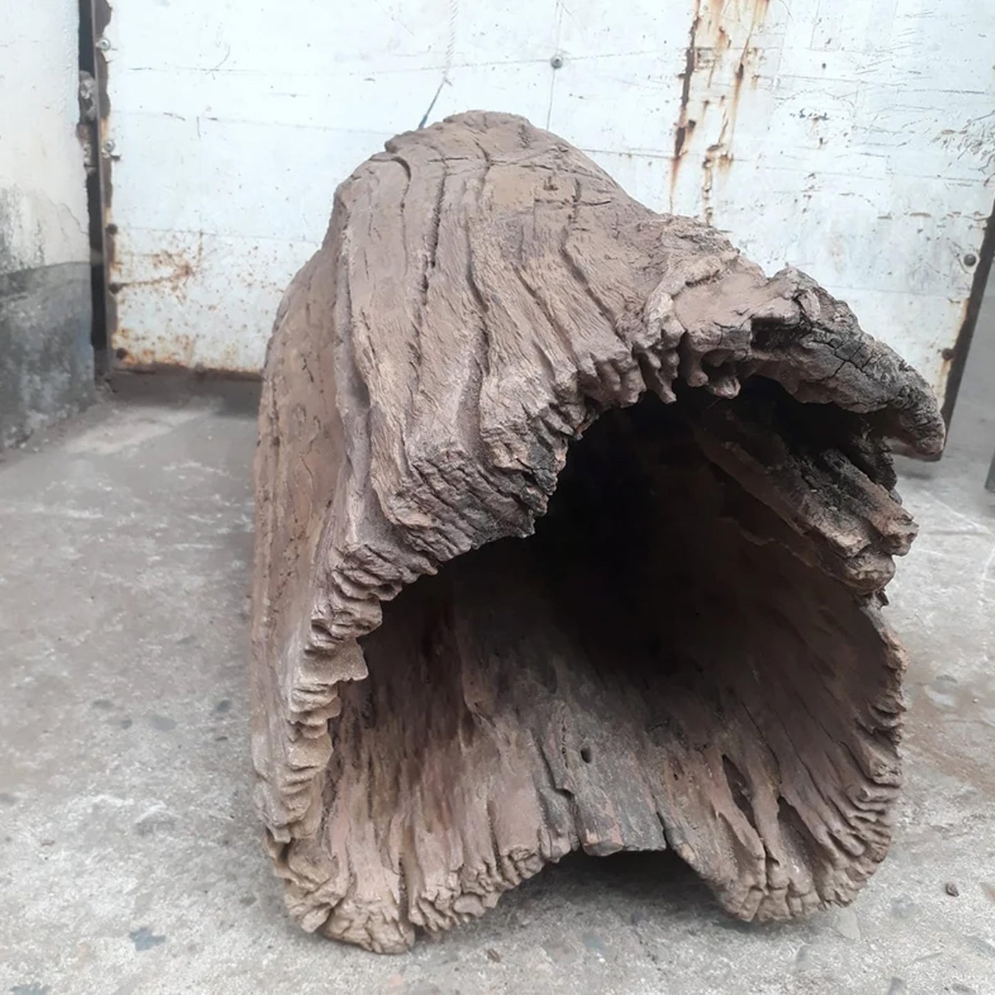 Large hollow driftwood log aquarium drift wood stump tree large aquarium hide fish tank decoration