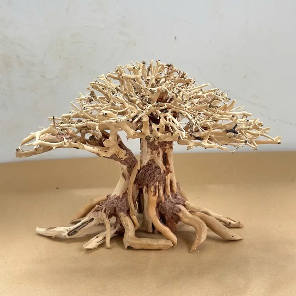 Bonsai driftwood aquarium decor aquascape wood hardscape plant fish tank decorations