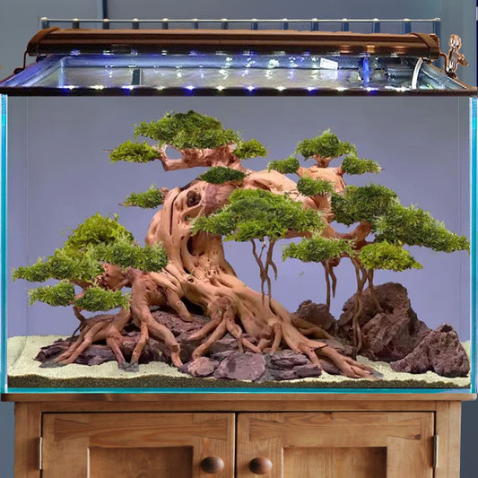 Driftwood bonsai aquarium tree large hardscape aquascape freshwater natural wood fish tank plants