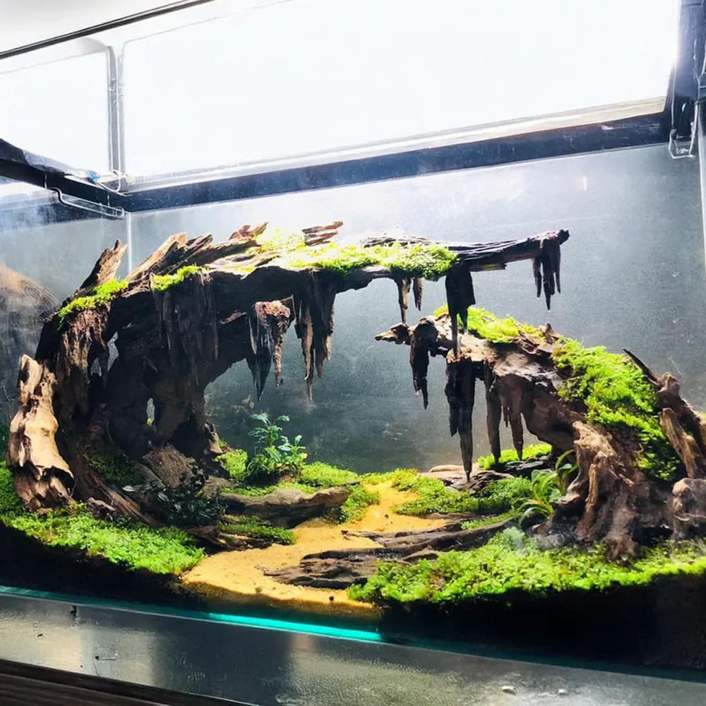 Aquarium cave aquascape driftwood aquascaping hardscape fish tank decor