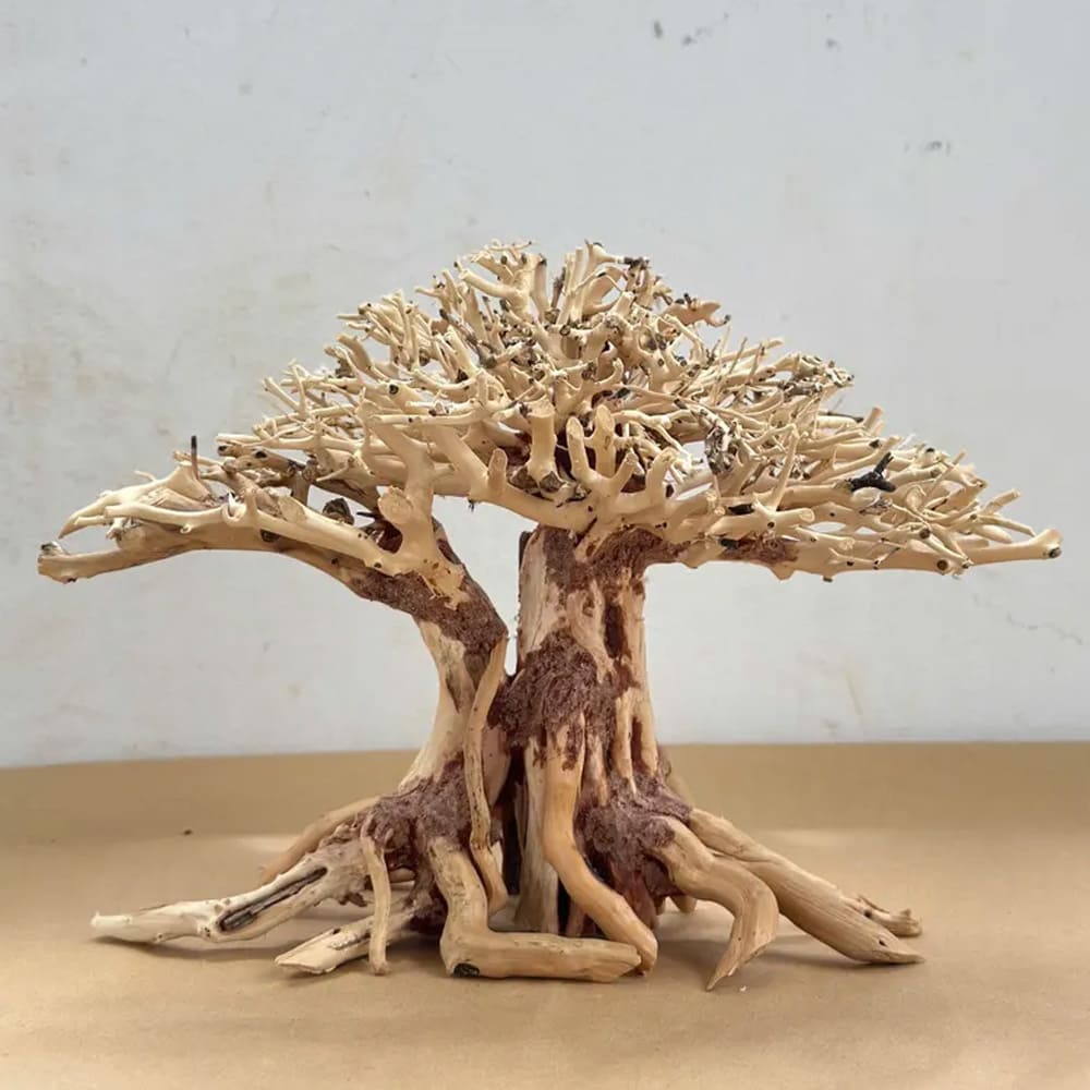 Bonsai driftwood aquarium decor aquascape wood hardscape plant fish tank decorations