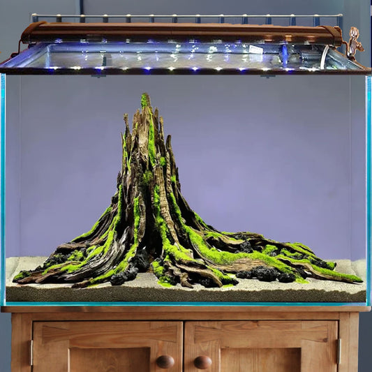 Aquarium stump natural driftwood cave aquascape betta fish hideout decorations