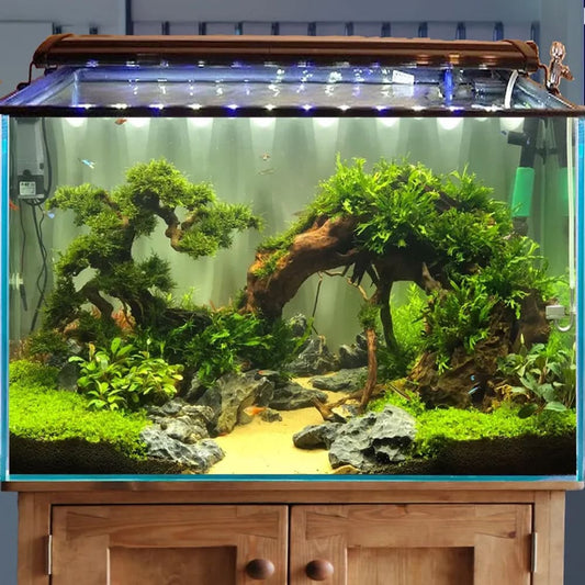 Bonsai aquarium driftwood large aquascape wood hardscape plants beta fish tank decor art