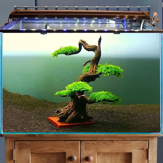 Driftwood aquarium bonsai tree easy aquarium plants aquascape hardscape for real fish tank decoration