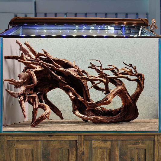 Bonsai aquarium driftwood aquascape hardscape wood fish tank plants