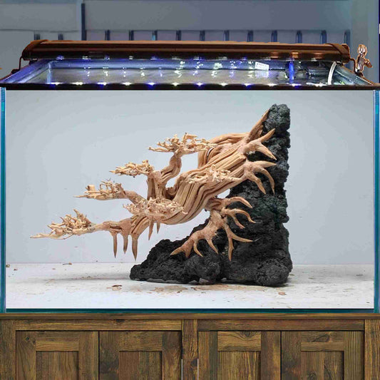 Bonsai driftwood for aquarium aquascape hardscape fish tank decor