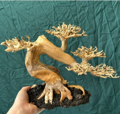 Handcraft bonsai driftwood aquarium wood for fish tank decor