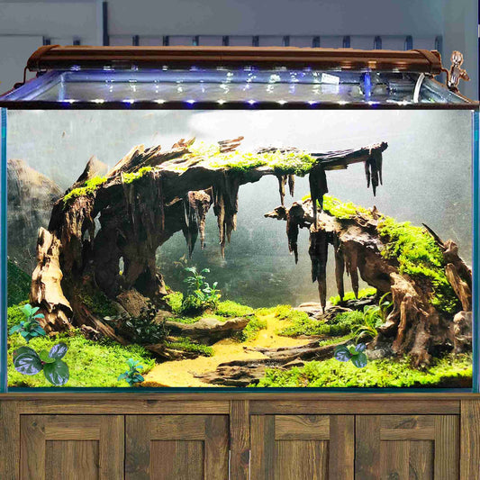 Aquascape aquarium driftwood bonsai rock cave hardscape fish tank plants