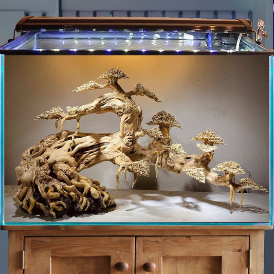 Driftwood aquarium bonsai aquascape wood hardscape plants fish tank decor unique birthday gift