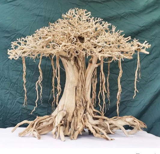 Bonsai driftwood for aquarium decor handmade product