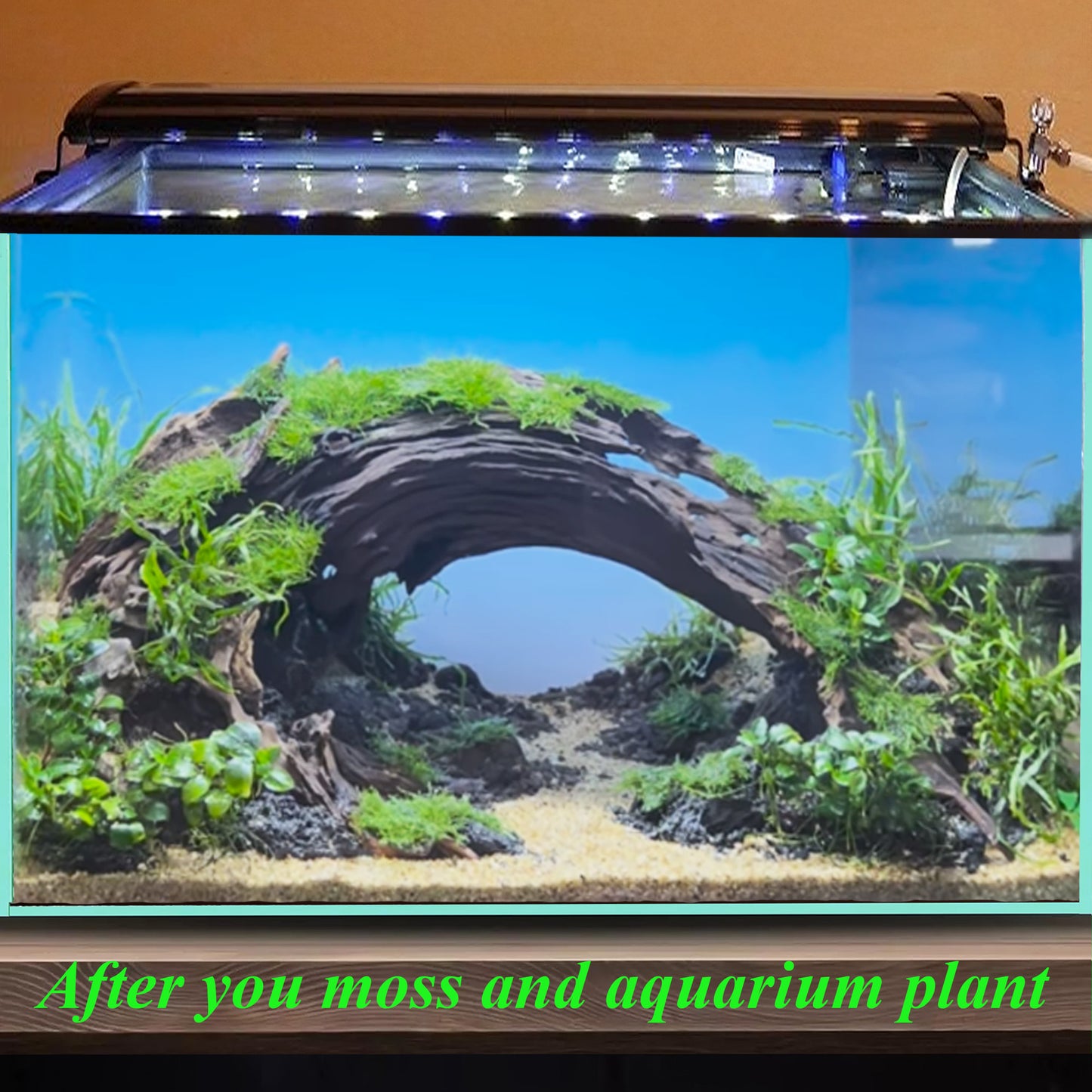 Aquarium driftwood aquascape hardscape drift wood fish tank decor