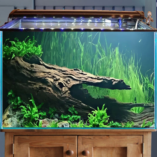 Aquarium driftwood log natural reptile drift wood stump bonsai aquascaping hardscape real wood for fish tank decor